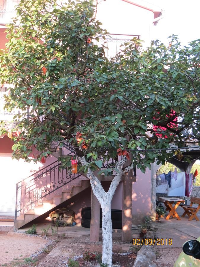 Апартаменты Apartmani “Dunja” Kraljevići-4