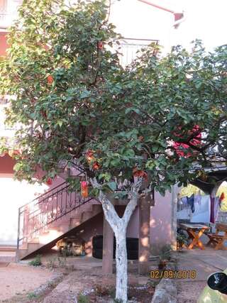 Апартаменты Apartmani “Dunja” Kraljevići-0