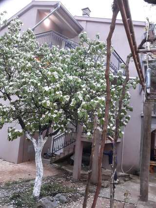 Апартаменты Apartmani “Dunja” Kraljevići-3